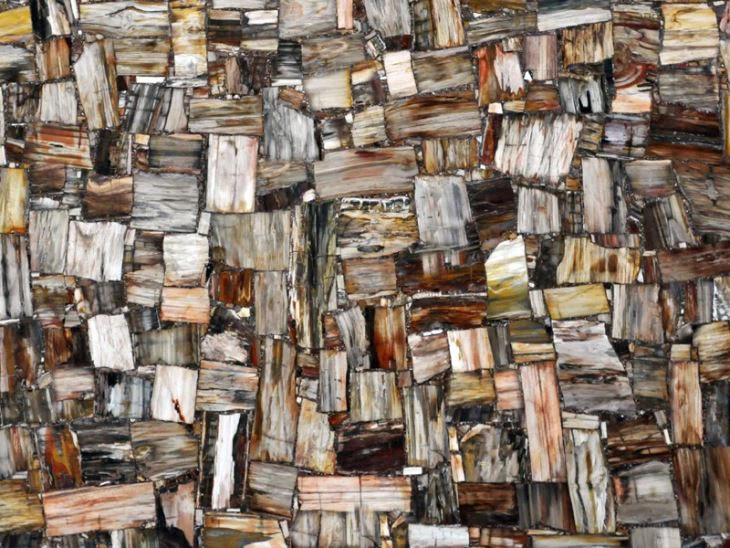 Petrified Wood Agate Stone Table Top