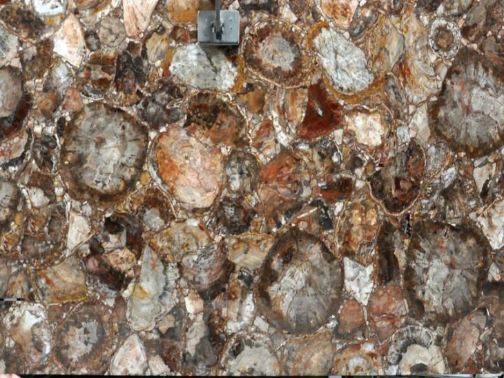 Petrified Wood Agate Stone Table Top