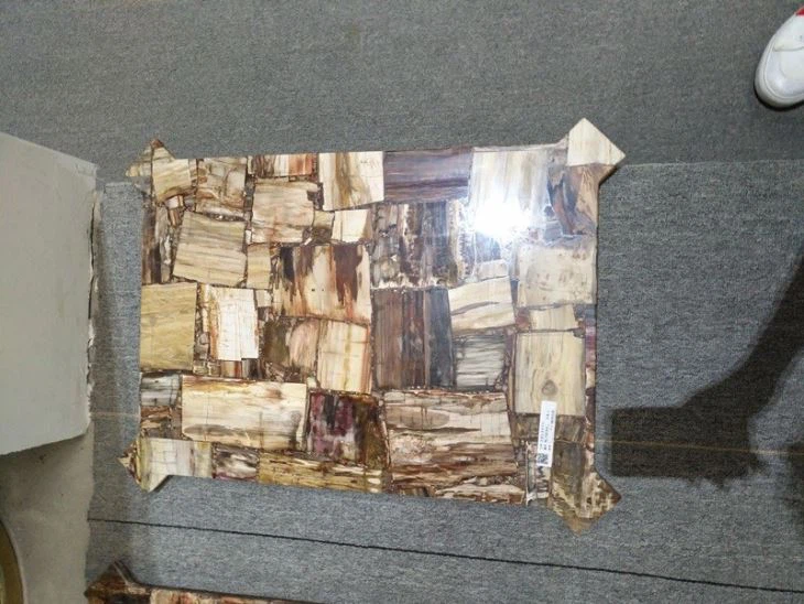 Petrified Wood Agate Stone Table Top